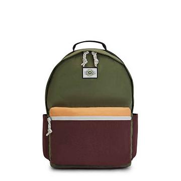 Kipling Damien Large Backpack Laptop Bags Valley Moss | AU 1634WN